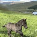 img 0365 1455094