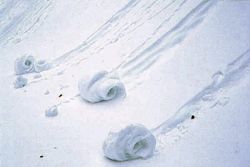007 snow balls.jpg