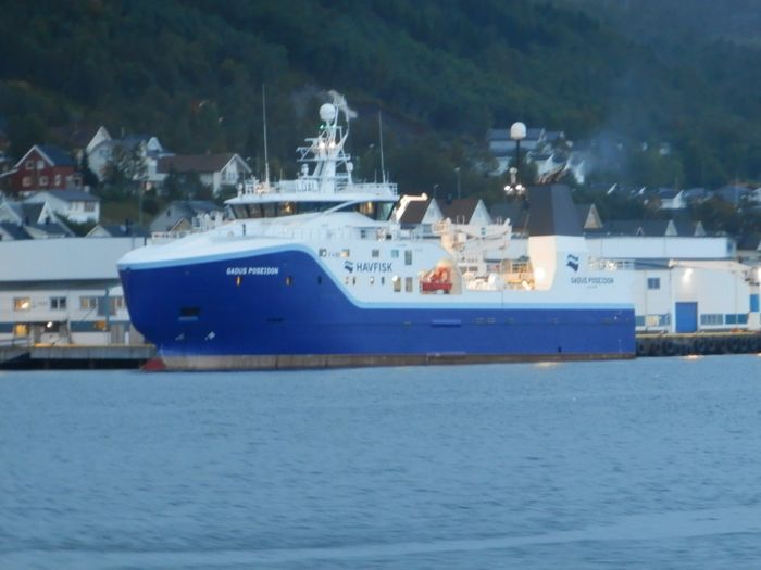 Feralag Batfjord-rnes 2013 022
