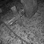 Rest in peace