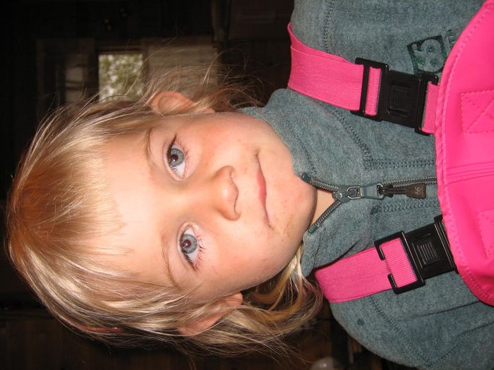 img 1231.jpg
