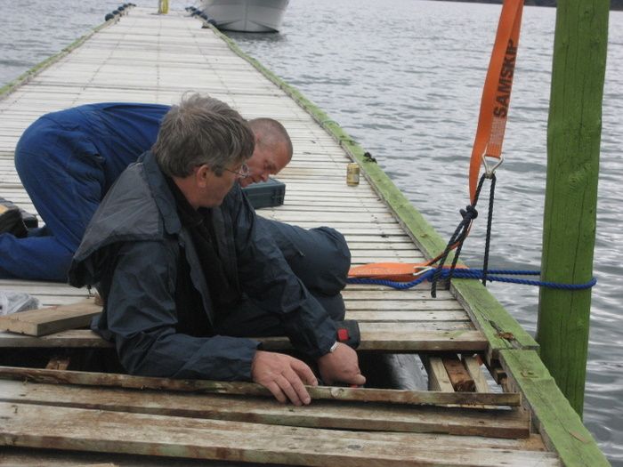 Haflii og Steini.