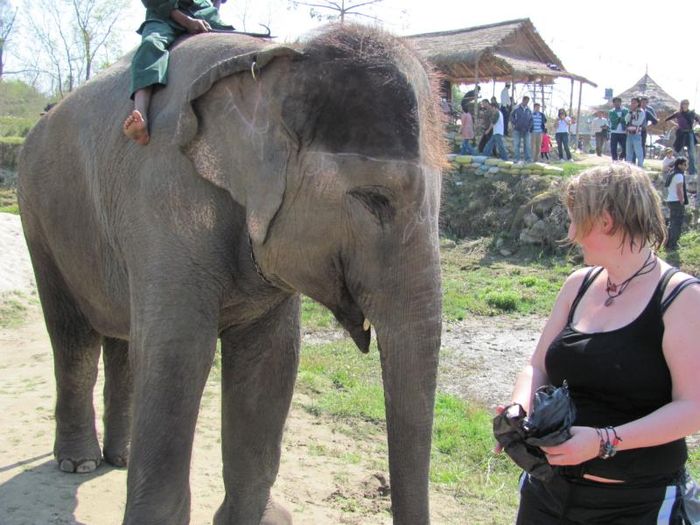 Chitwan National Park 032