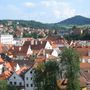 img 1300.jpg