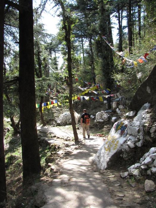 Dharamsala 063