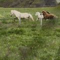 img 0969