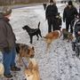 IMG 7180