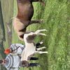 img 0404 1455175