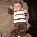 IMG 1220