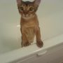 My sweeetheart