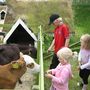 svo kíktum við á kálfana