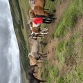 img 0574