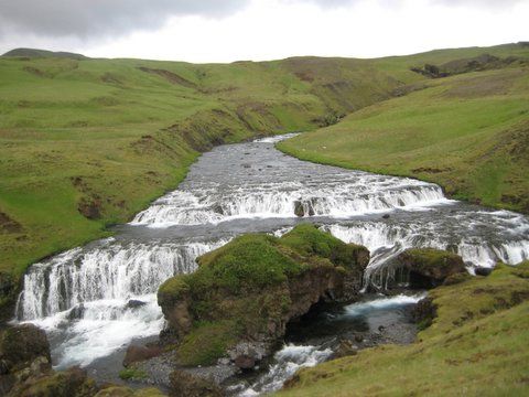 IMG 0809