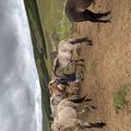 img 0621 1455523