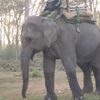 Kathmandu and Chitwan1 043