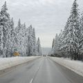 Donar pass í California