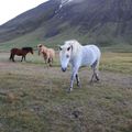 img 8671