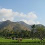 Fjollin i Bali