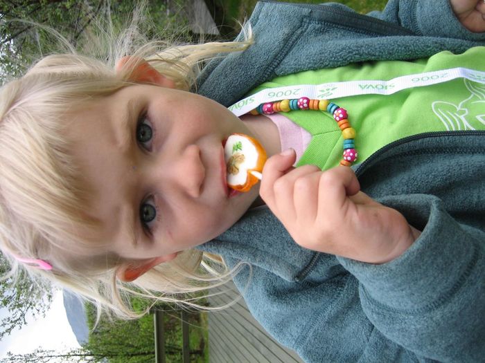 img 1210.jpg