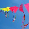 kites flying images 1024x768  66461