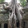 siam reap2 055