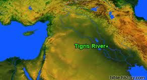 Tigrisin kort