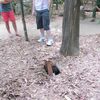 cu chi 028