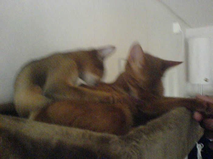 Blurry, but still a cute picture...
