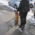 IMG 7502