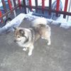 feb 2007 010.jpg