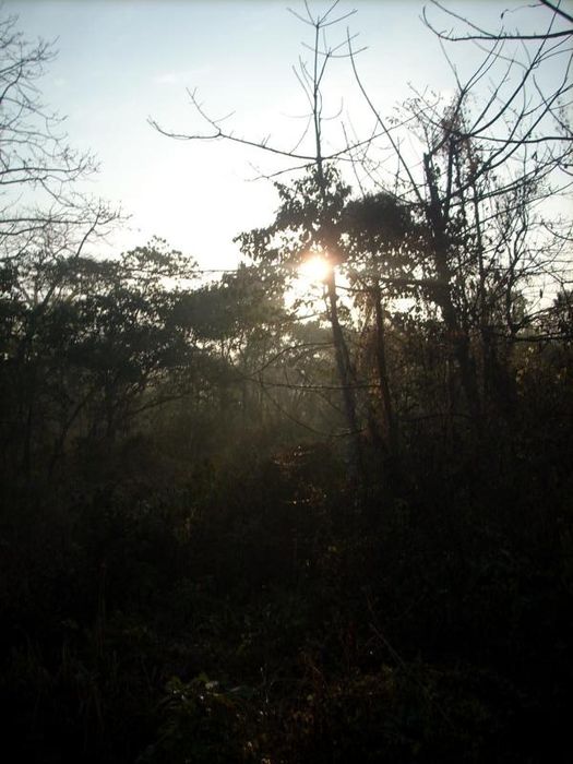 Kathmandu and Chitwan1 058