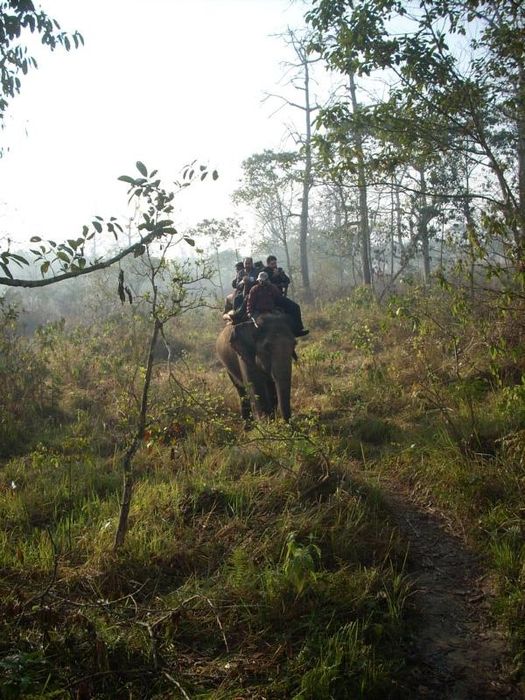 Kathmandu and Chitwan1 078
