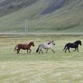 img 8854