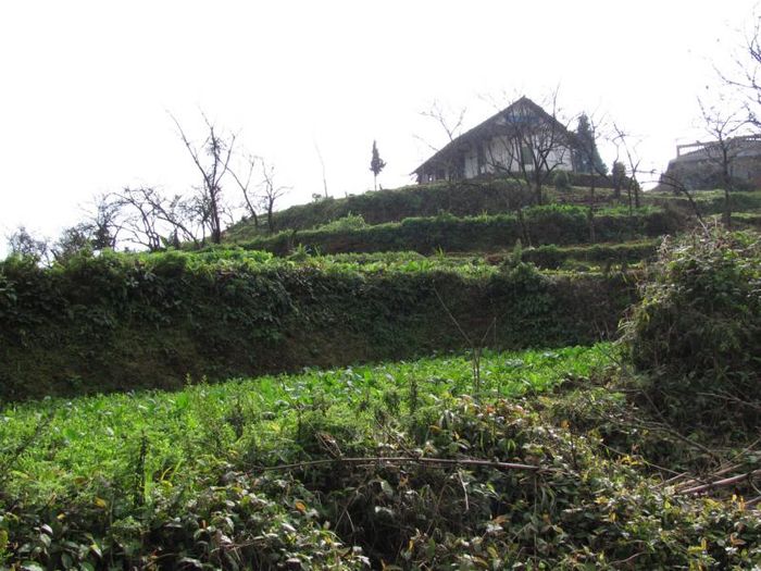 sapa 024