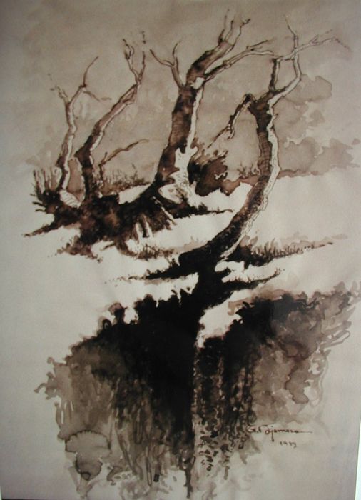 Tr004