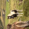 img 1061 1456709