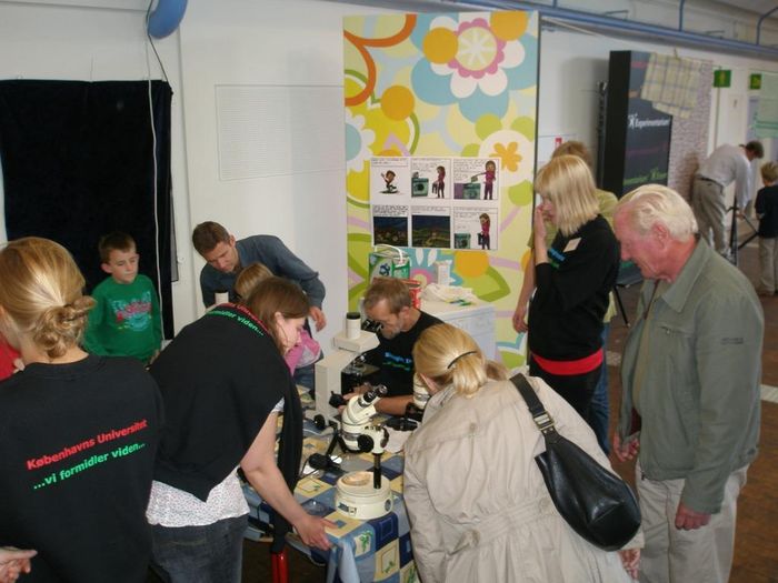 Svampefest 2007