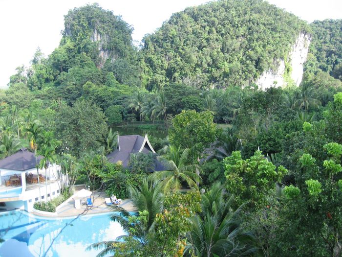 Sundlaugin a hotelinu i Krabi