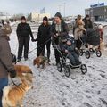 IMG 7179