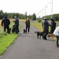 IMG 8795
