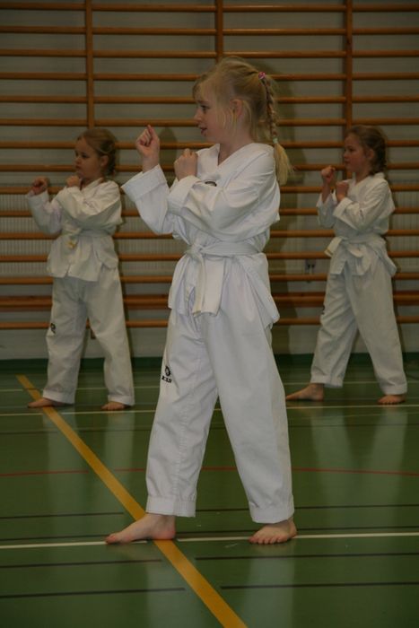 TaiKwonDo gula belti 140