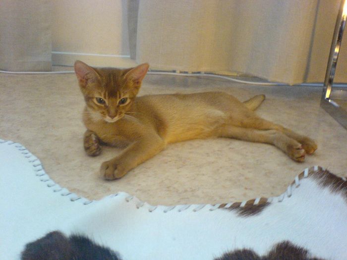 modelpoze....