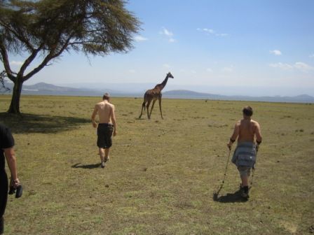 The boy's trying to catch the giraffe