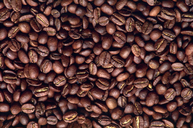 coffee 20beans.png