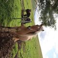 img 8507 1442399