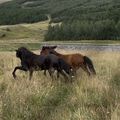 img 0934
