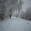 Myndir 029