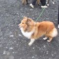 IMG 7789