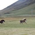 img 8865 1444006