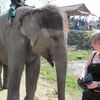 Chitwan National Park 032